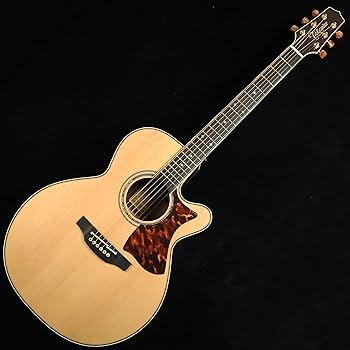 Amazon | Takamine DMP50S NAT エレアコギター 島村楽器 x Takamine